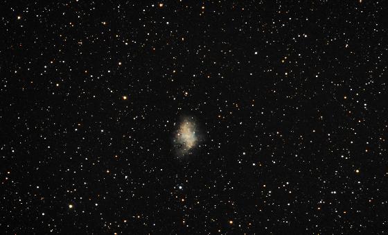 M1