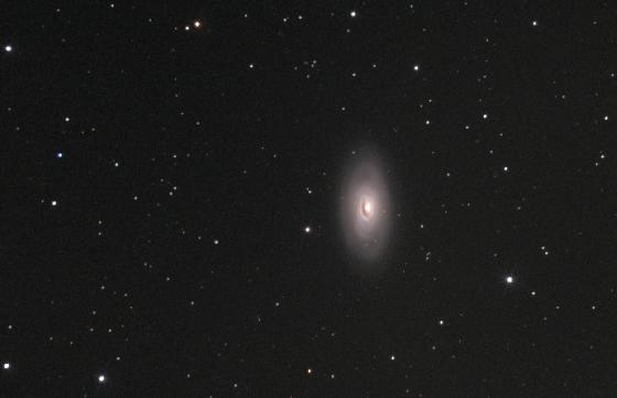 M64