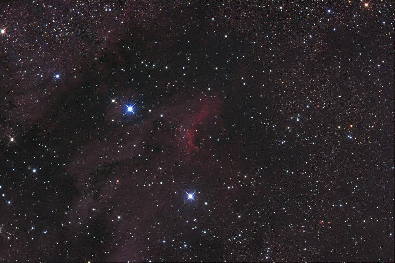 pélican du 27/12 pélican du 27/12