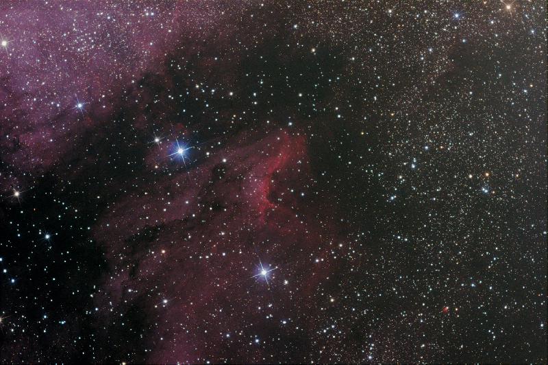 pélican 1h en plus pélican 1h en plus