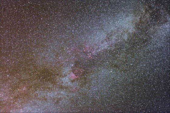 Cygne au 1000d défiltré total