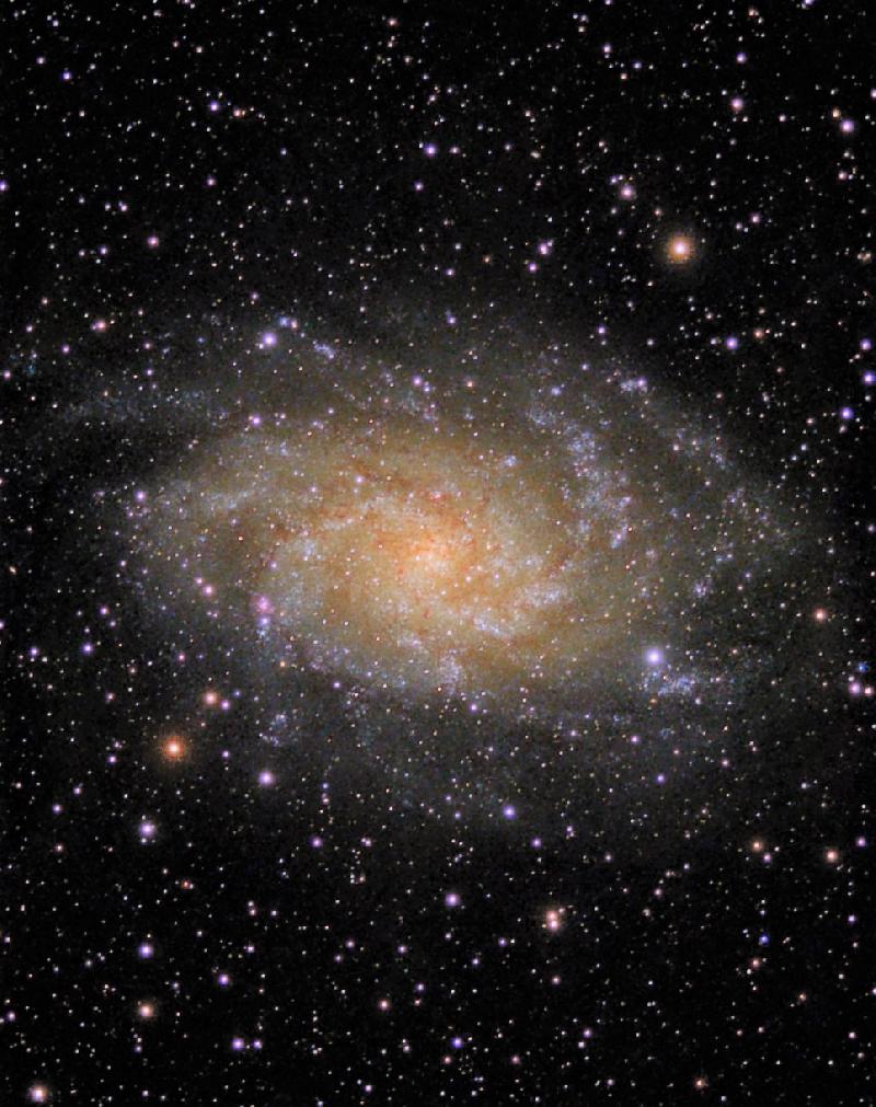 M33