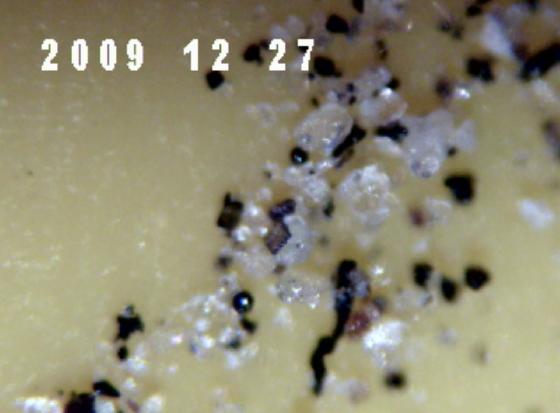 MICRO PARTICULES DANS LA PLUIE