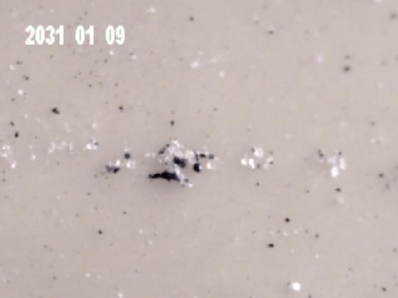 autre photo ECH 1J  MICRO PARTICULES