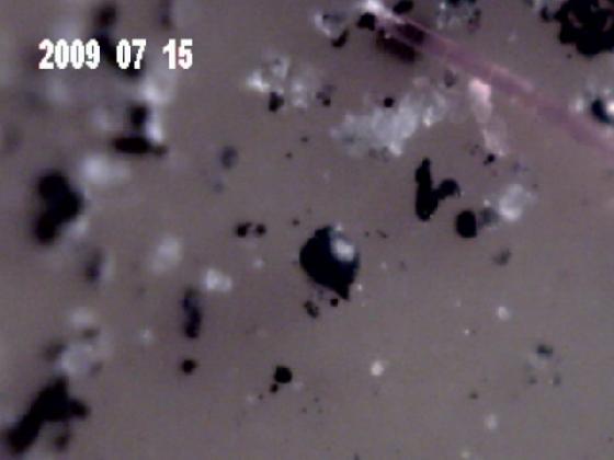 ECHT 3J MICRO PARTICULES 1