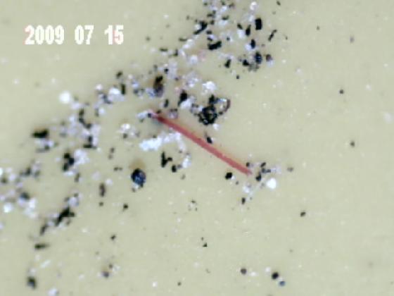 ECHT 3J MICRO PARTICULES