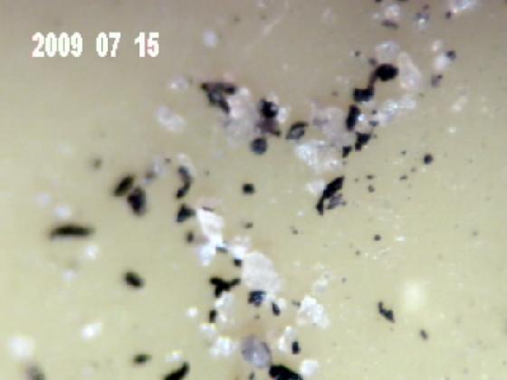 Micro Particules ECH 3J O33 (dans la pluie)