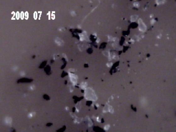 Micro particules eau de pluie ECH 3J O32