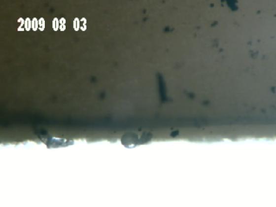 ECHT 4J MICRO PARTICULES