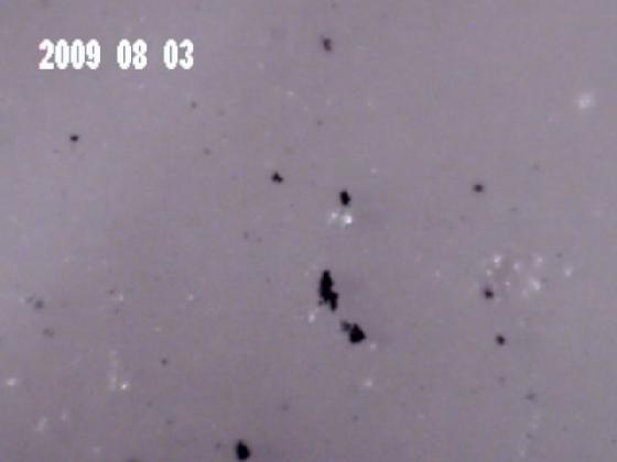 Pièges de la micro photographie 1