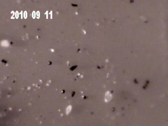 Ench j5 micro particules