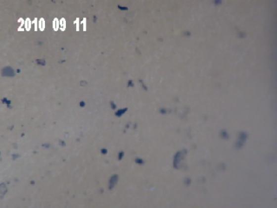 ECHT 5J  MICRO PARTICULES