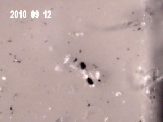 ECHT 5J MICRO PARTICULES