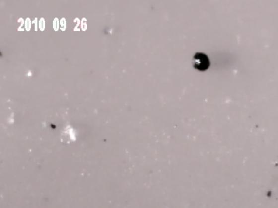 ECHT6J MICRO PARTICULES