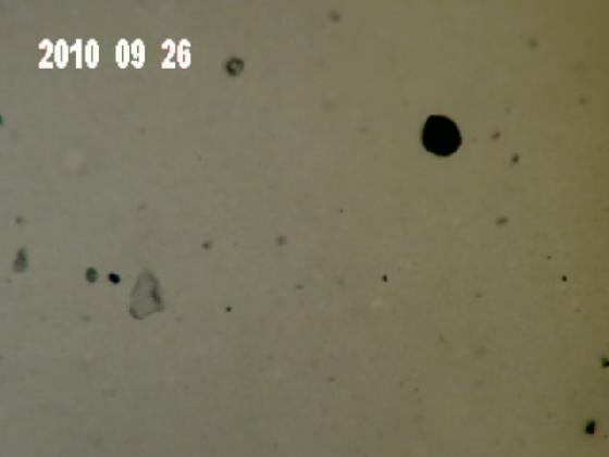 ECHT6J MICRO PARTICULES