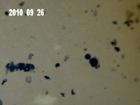 ECHT 6J MICRO PARTICULES