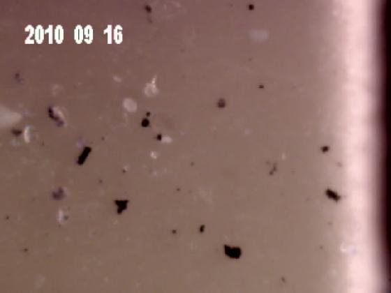 ECHT6J  Spérule vitrifiée