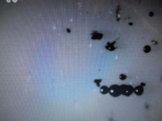 SEDIMENT 1 MICRO  PARTICULES