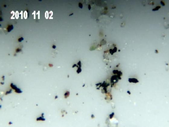 ECHT 2B MICRO PARTICULES