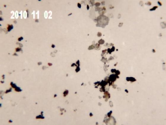 ECHT 2B MICRO PARTICULES