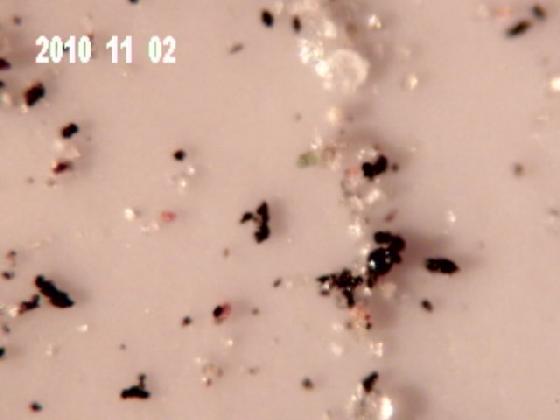 ECHT 2B MICRO PARTICULES