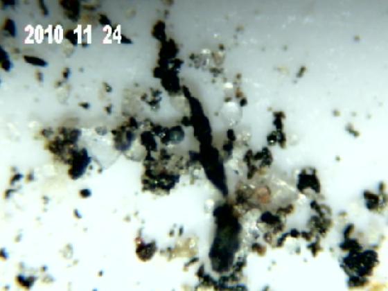 ECHT 7 B PARTICULES DANS L' EAU DE PLUIE