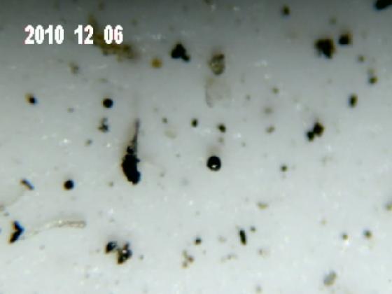 ECHT 9 B  MICRO PARTICULES DANS LA PLUIE