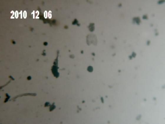 ECHT 9 B MICRO PARTICULES DANS LA PLUIE