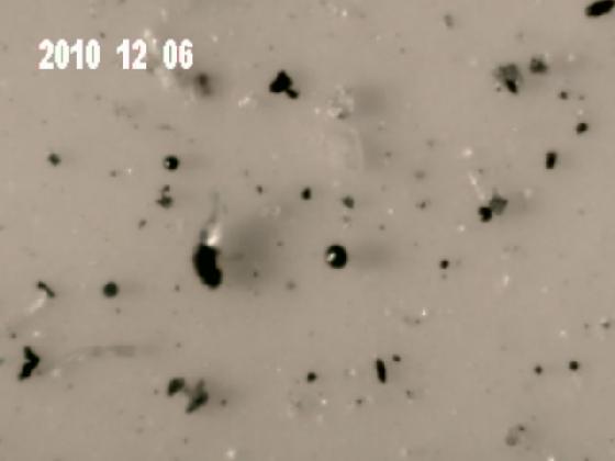 ECHT 9 B MICRO PARTICULES DANS LA PLUIE