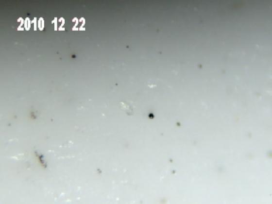 ECHT 10B PARTICULES DE L'EAU DE PLUIE