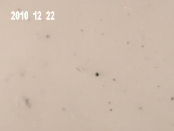 ECHT1O B MICRO PARTICULES EAU DE PLUIE