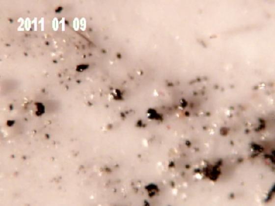 ECHT 14 MICRO PARTICULES DANS L'EAU DE PLUIE