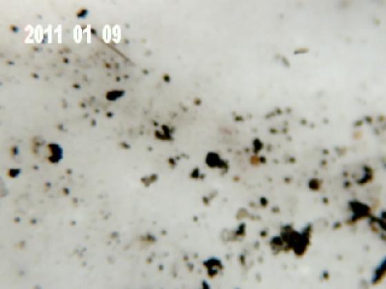 ECHT 14 MICRO PARTICULES (eau de pluie)