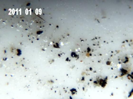 ECHT 14 MICRO PARTICULES (eau de pluie)