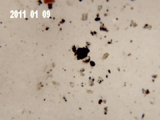 ECHT 14 B MICRO PARTICULES (eau de pluie)