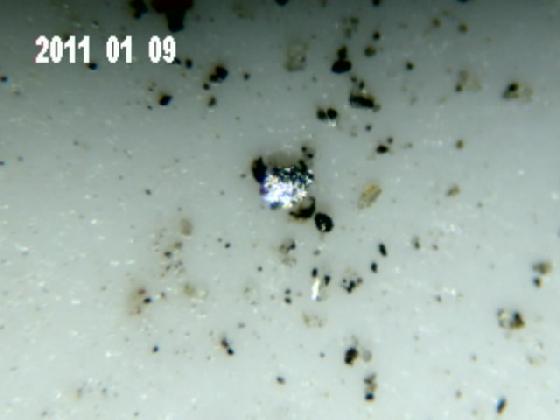 ECHT 14 B MICRO PARTICULES (eau de pluie)