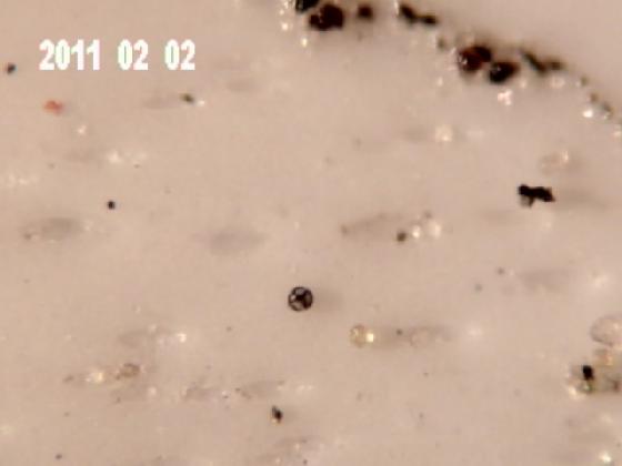 ECHT 16B MICROPARTICULES EAU DE PLUIE