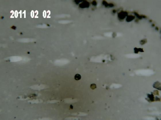 ECHT 16B (transparence)