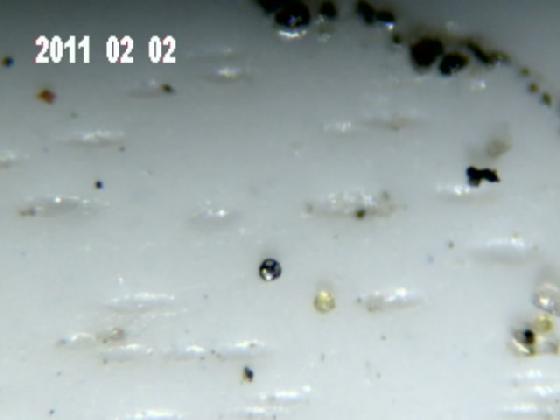 ECHT 16B MICRO PARTICULES