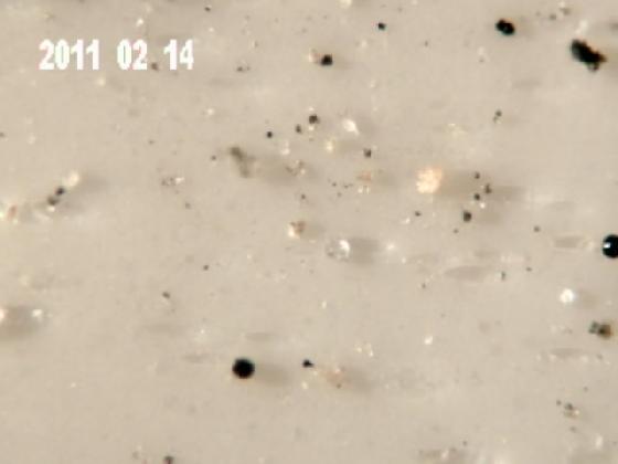 ECHT3 S MICROPARTICULES