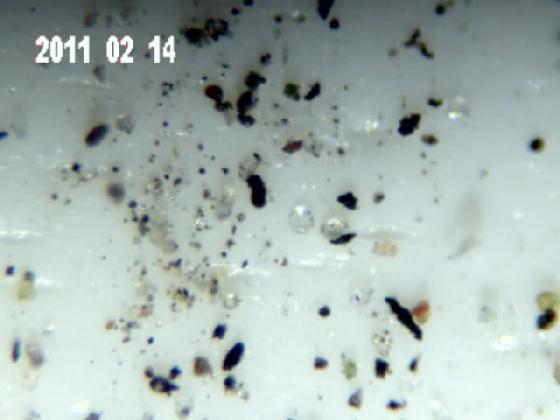 ECHT 2 S MICROPARTICULES ECHT 2 S MICROPARTICULES