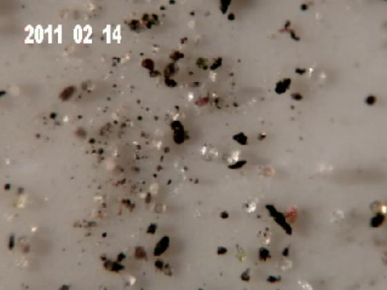 ECHT 2 S MICROPARTICULES ECHT 2 S MICROPARTICULES