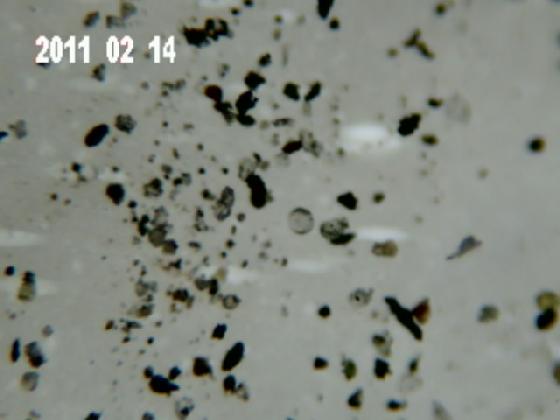 ECHT 2 S MICROPARTICULES ECHT 2 S MICROPARTICULES