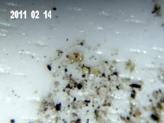 ECHT 5 S MICROPARTICULES