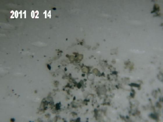 ECHT 5 S MICROPARTICULES