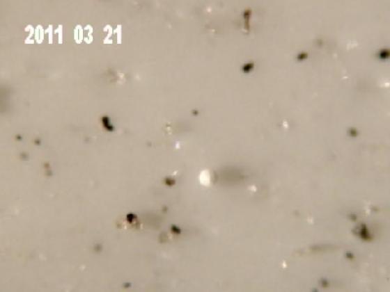 ECHT 11 S V MICROPARTICULES