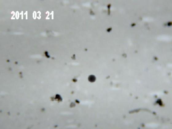 ECHT 11 S V MICRO PARTICULES ECHT 11 S V MICRO PARTICULES