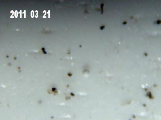 ECHT 11 S V MICRO PARTICULES ECHT 11 S V MICRO PARTICULES