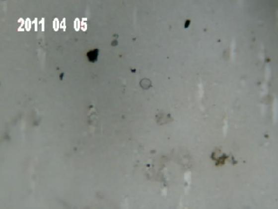 ECHT 21 S E P MICROPARTICULES ECHT 21 S E P MICROPARTICULES