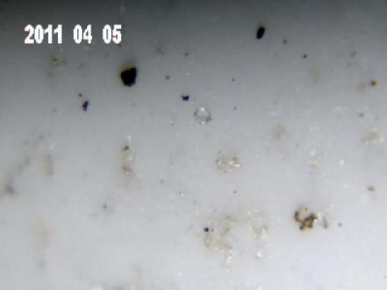 ECHT 21 S E P MICROPARTICULES ECHT 21 S E P MICROPARTICULES